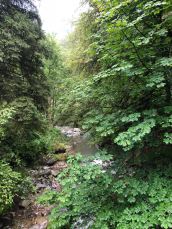 2018-07-20 17.32.23-3